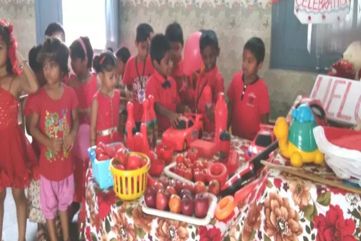 St Anns English Medium High School-Activity