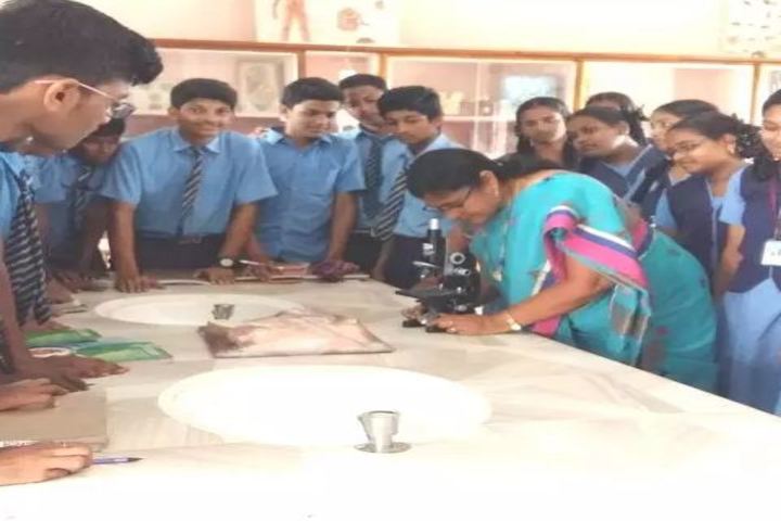 St Anns English Medium High School-Biology Lab
