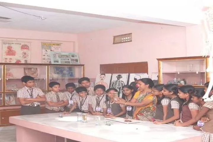 St Anns English Medium High School-Lab