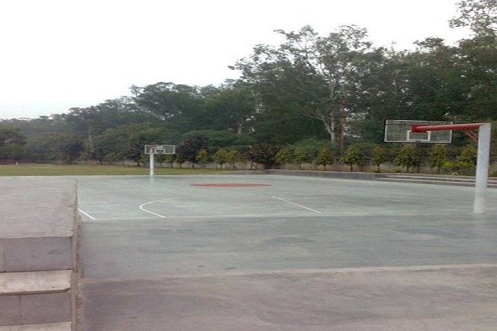 Maharaja Aggarsain Adarsh Public School- Playground