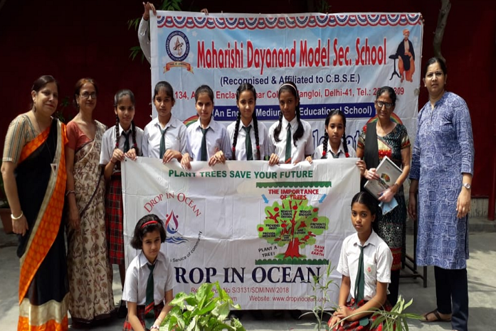 Maharishi Dayanand Model School-Others plantation