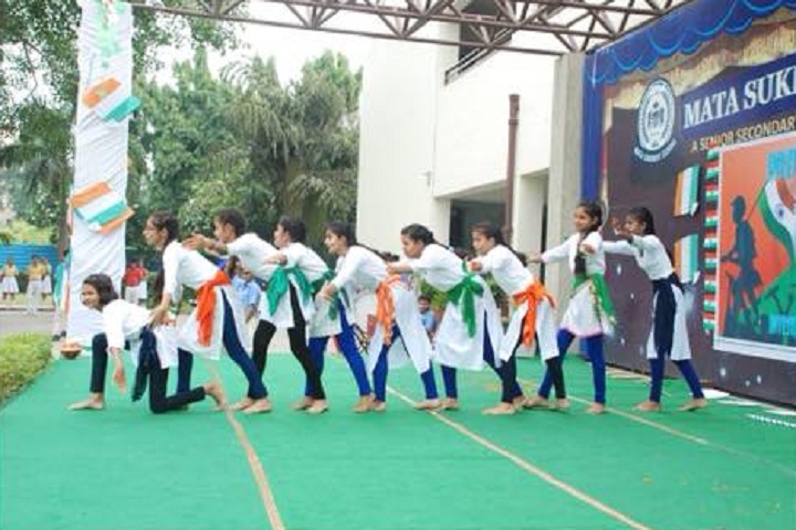 Mata Sukhdevi Public School-Events