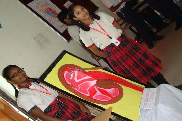 Swarnandhra International School-Science Exhbition