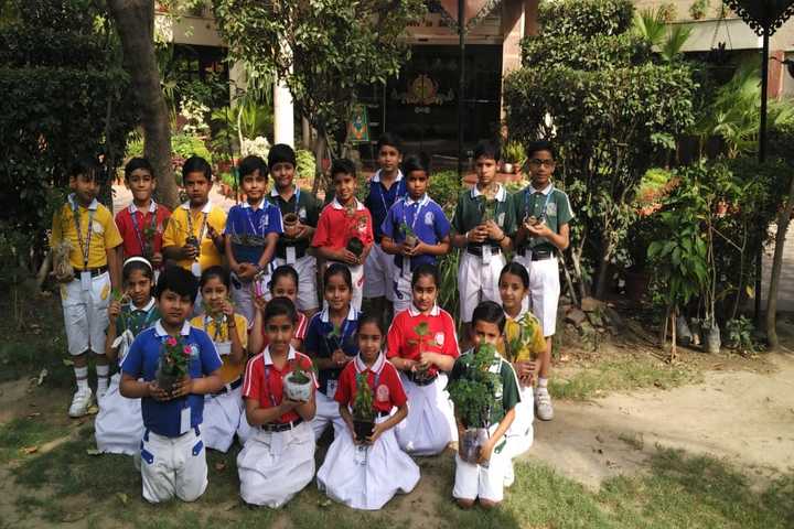 Mount Abu Public School-Plantation