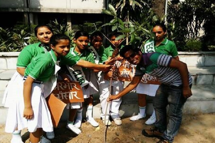 N D M C Navyug Senior Secondary School-Plantations