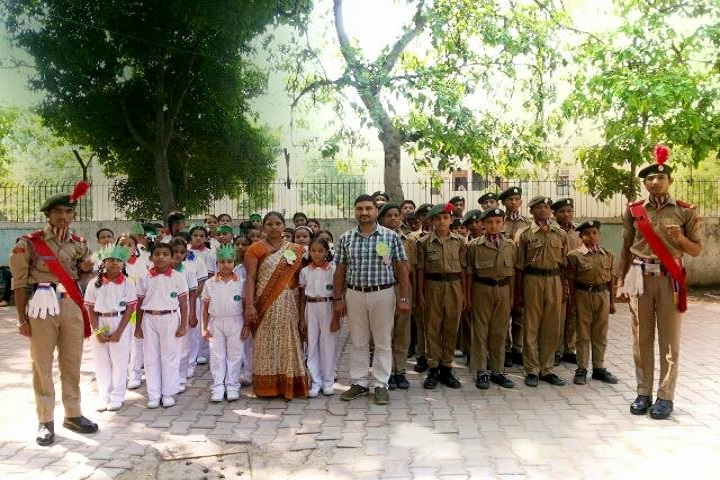 N P Co-Educational Senior Secondary School-Activity