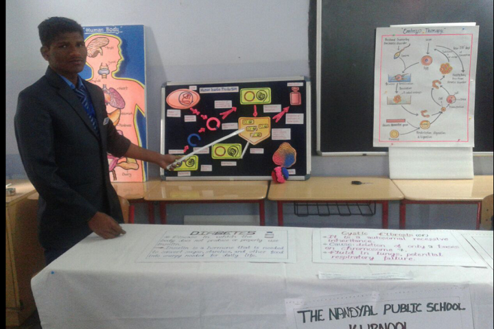 The Nandyal Public School-Science Fair