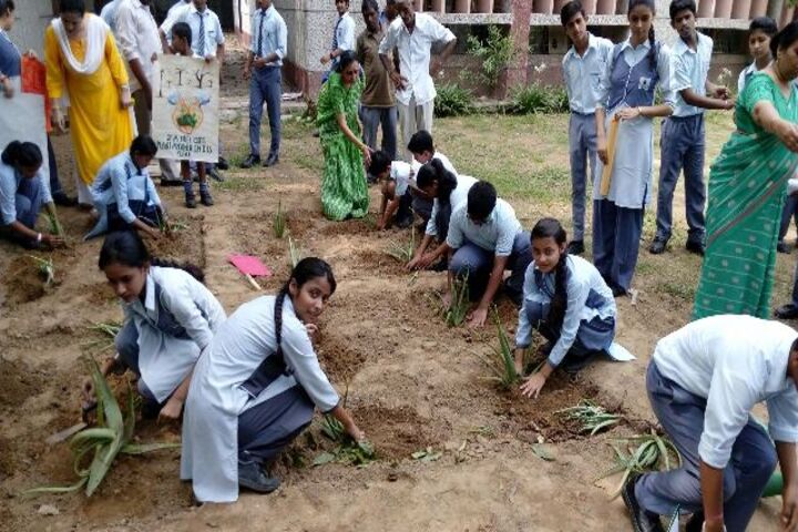Navyug School-Tree Plantation