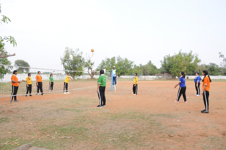 The Vizag International School- Volley Ball