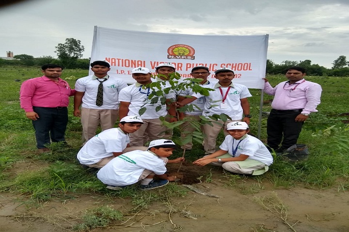 New Holy Public School-Tree-Plantation