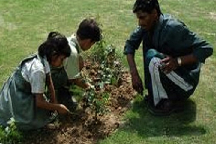 New Saraswati Public Secondary School-Planting Trees