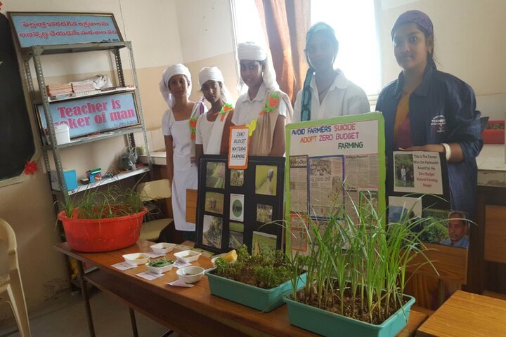 Vidyanjali School-Art experiment