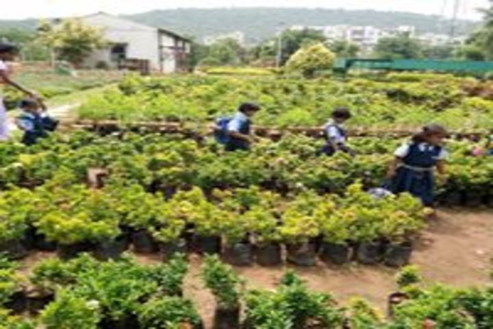 Vignan Vidyalayam High School-Plantation