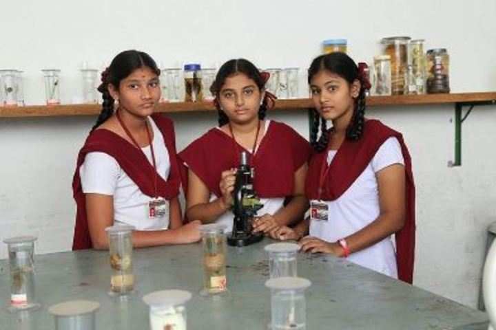 Viswasanti English Medium High School-Lab