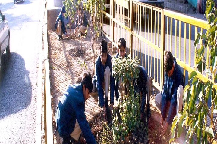 Salwan Public School-Plantation