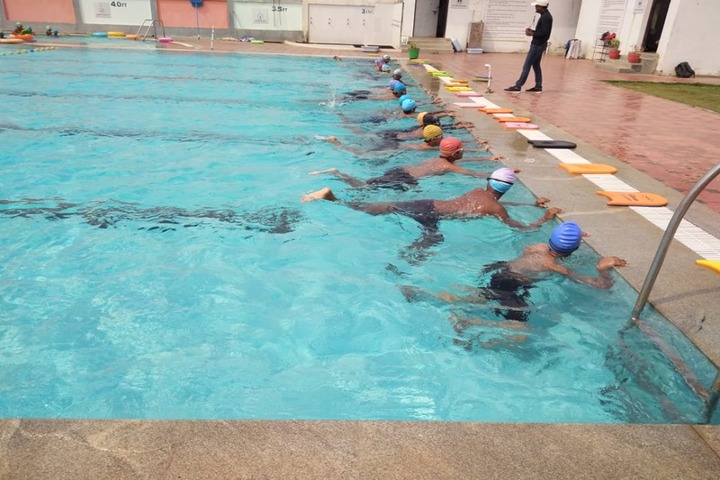 VIVA The School- Swimming Pool