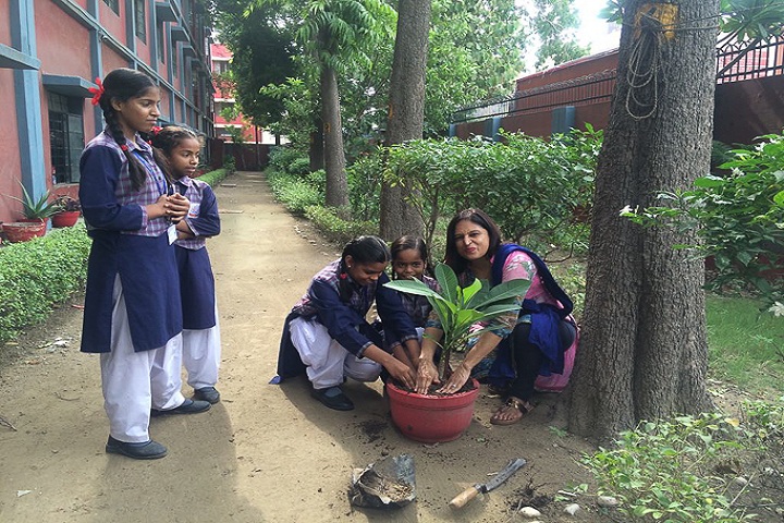 Sant Nirankari Girls Senior Secondary School-Activity
