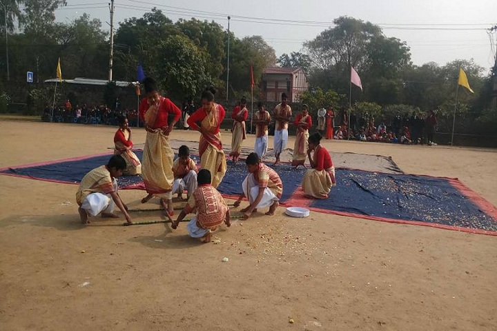 Sardar Patel Vidya Niketan-Cultural Activities