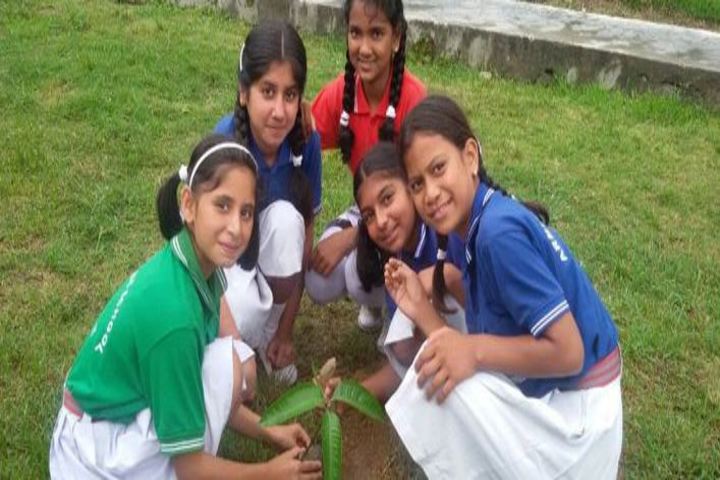 Army Public School-Plantation