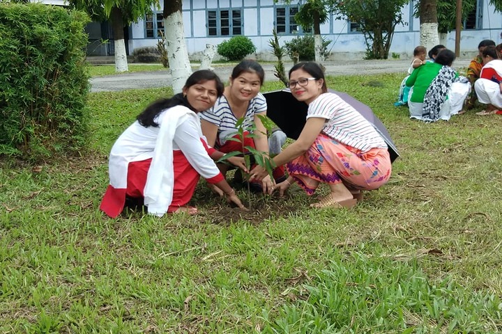Arunachal Pali Vidyapith-Plantation