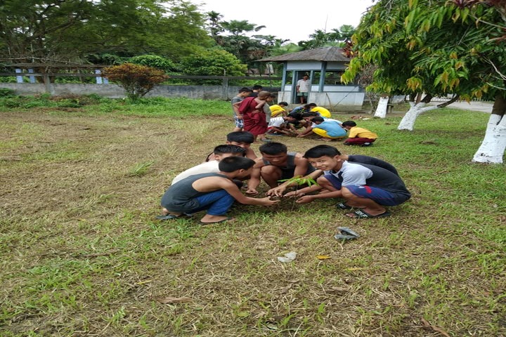Arunachal Pali Vidyapith-Plantation2