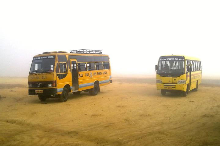 Blue Pine Residential English School-Transport