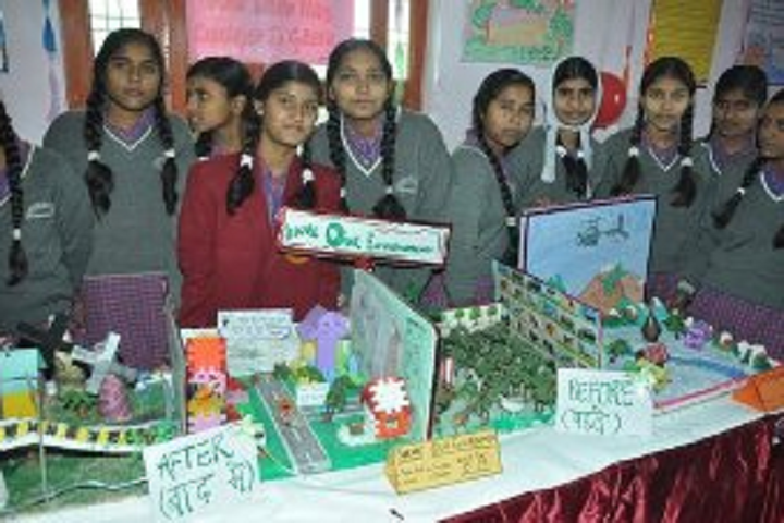 Smt Sarti Devi Public School-Science Exhibition