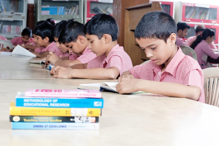 St Johns Public School-Library