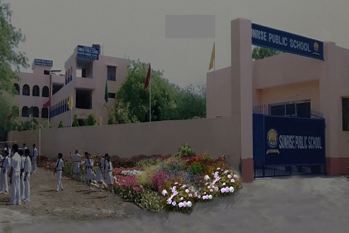 Sunrise Public School-School View
