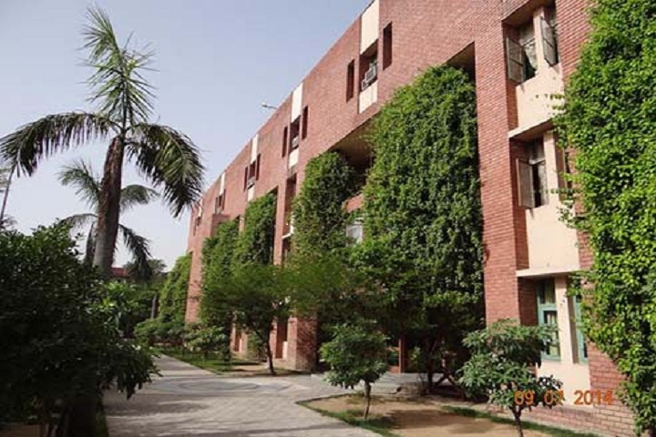 The Banyan Tree School-Campus