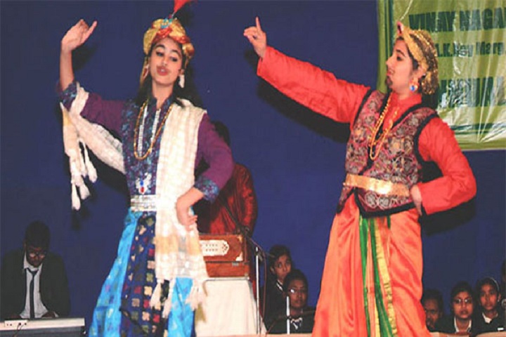 Vinay Nagar Bengali Senior Secondary School-Cultural Activities