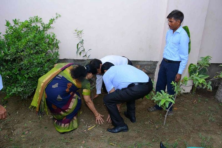 Vikas Bharti Public School-Plantation