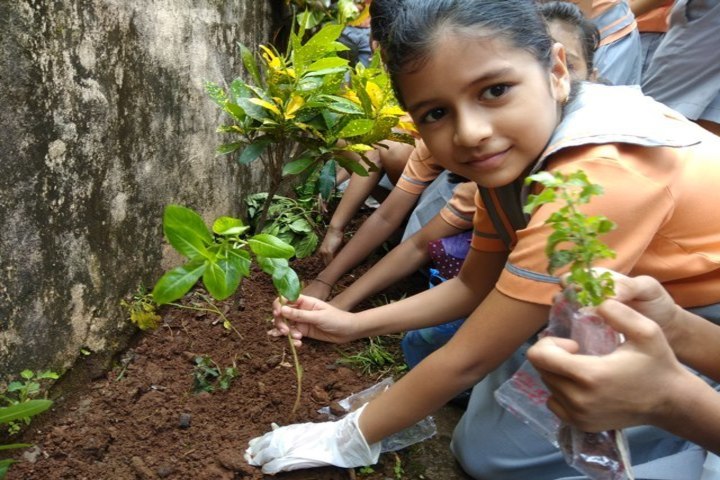 Bloomz International School-Tree Plantation