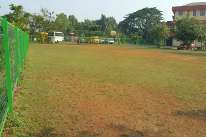 Vidya Vikas Academy-Play Ground
