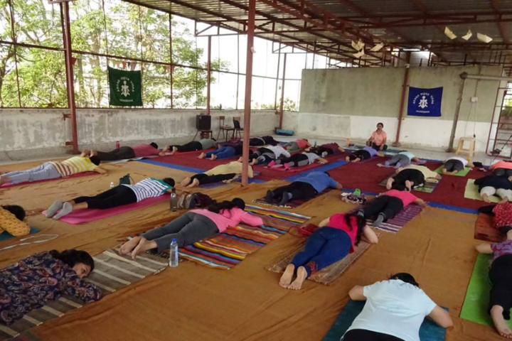 Anand Vidya Vihar-Yoga activity