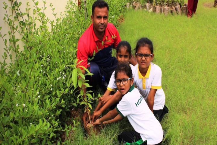 Avalon World School-Greenary maintanenece