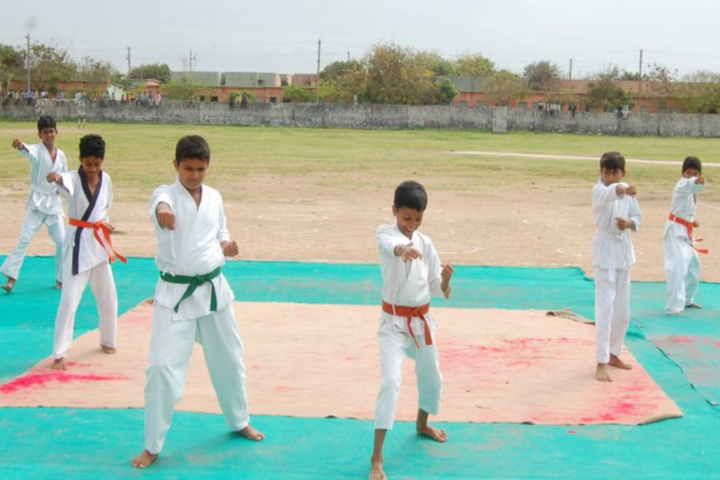 Birla Sagar Higher Secondary School-karate classes
