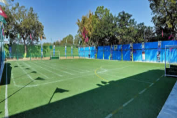 Cosmos Castle International School-Play ground