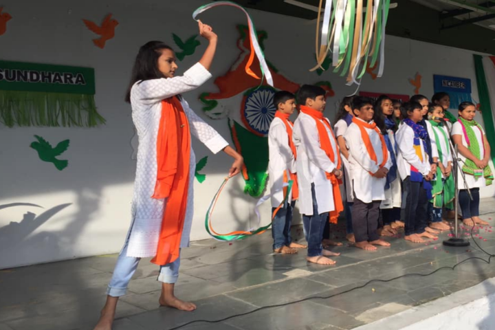 Cosmos Castle International School-National day celebnration