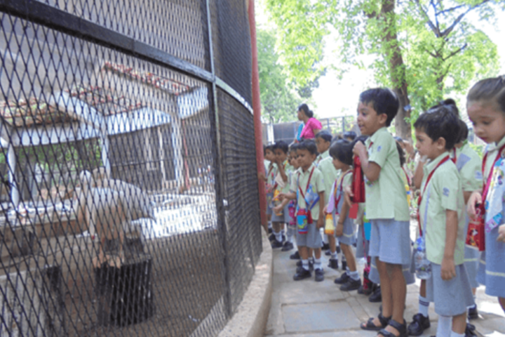 D R Amin Memorial School-Field trips1