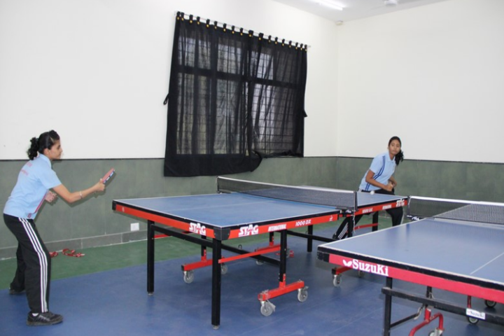 Delhi Public School-Indoor games