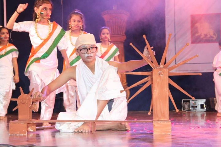 Delhi Public School-National day celebration