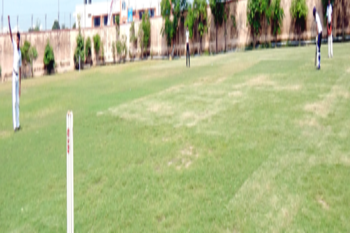 Delhi Public School-Sports1