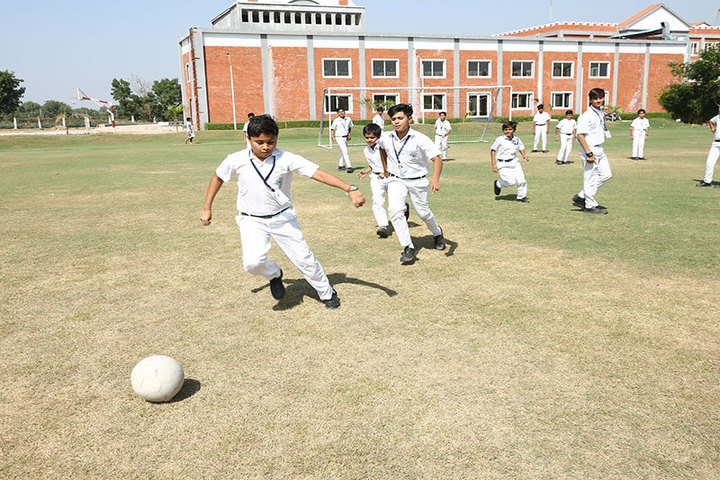 Delhi Public School-Play Ground
