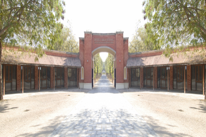 Divine Child School-School Front View