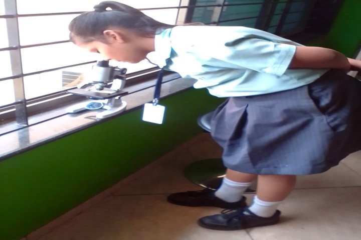 Global Discovery School-Biology Subject Activity