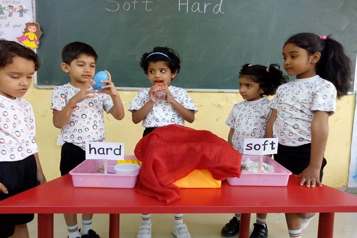 Global Indian International School-Soft Hard Activity