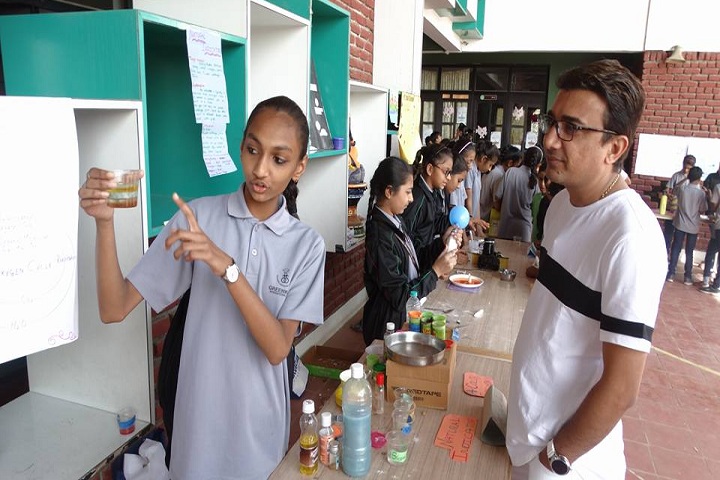 Greenwood International School-Science Day Celebration