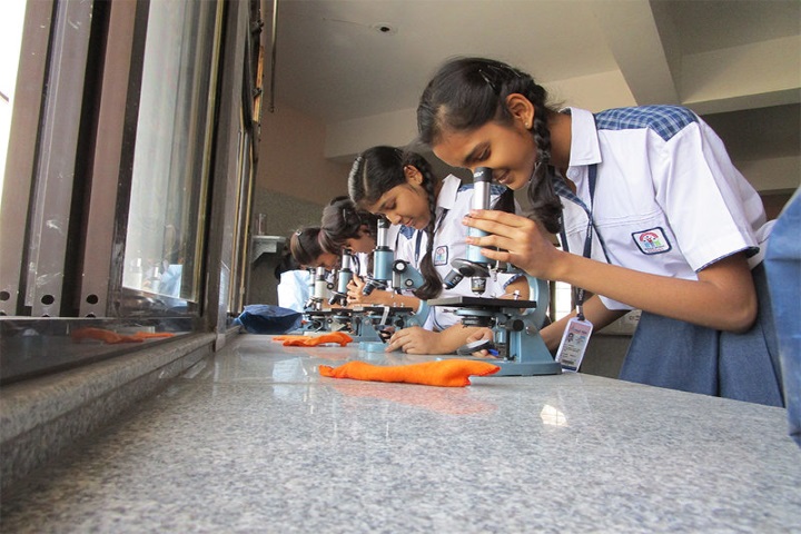 Hills High School-Biology Lab