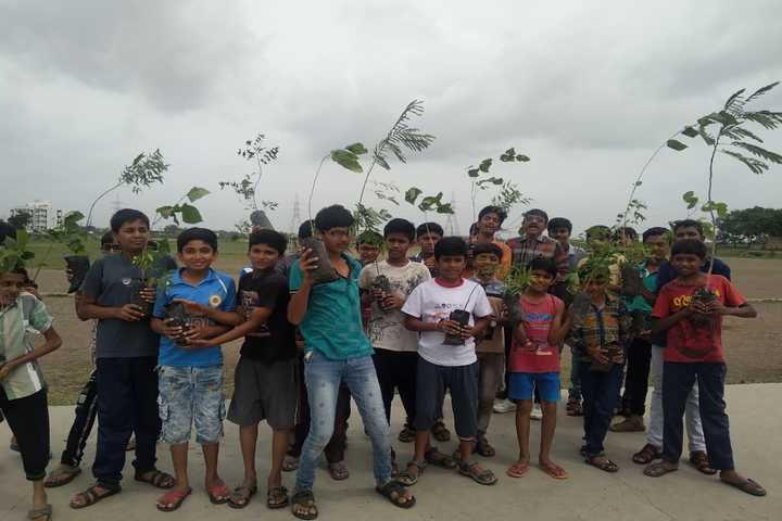 Jawahar Navodaya Vidyalaya-Environment Day